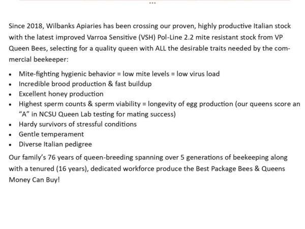 First Year Hive Kit With A Package of Bees!