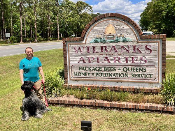 First Year Hive Kit With A Package of Bees!