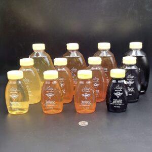 Honey in Plastic Squeeze Bottles Honey filled in Plastic Squeeze Bottle