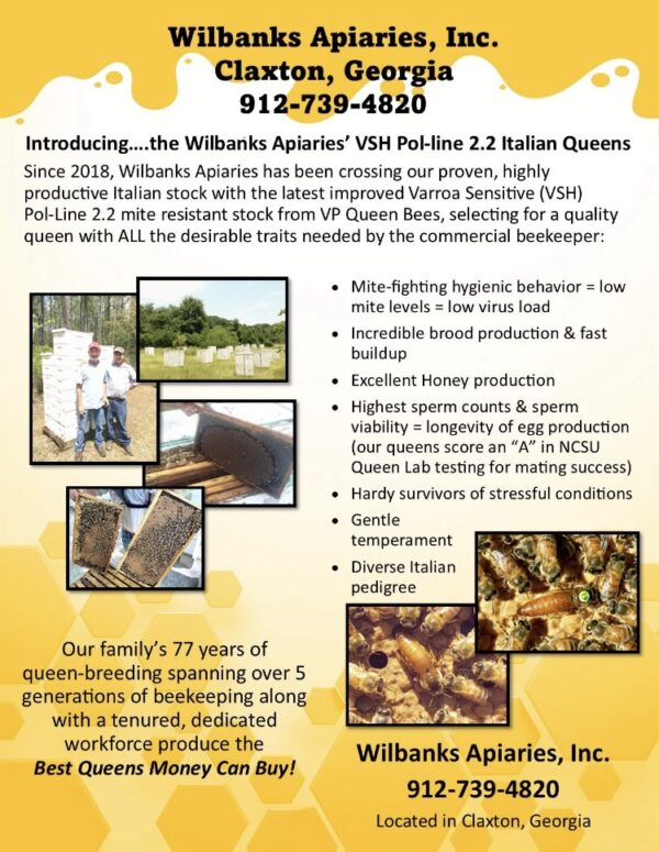 3 lb Package Bees with Mated Queen