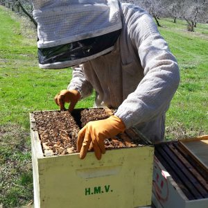 8 Frame Metal Frame Spacer for 10 Frame Hive