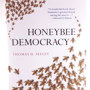 Honey Bee Democracy