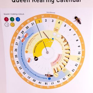 Queen Rearing Calendar Wheel