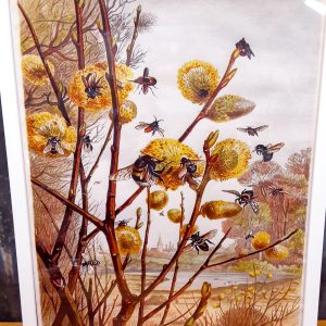 Pollen Nation Canvas Print