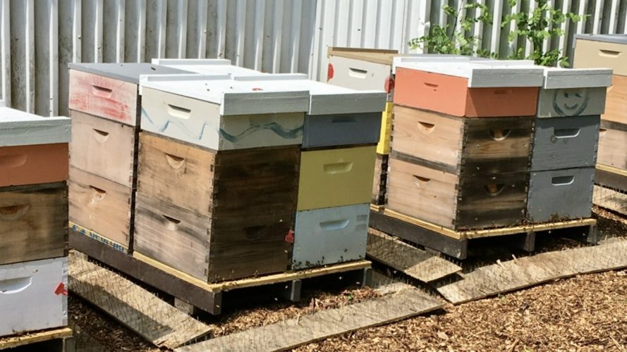 Migratory Lid - HappBee Acres Bee Supply