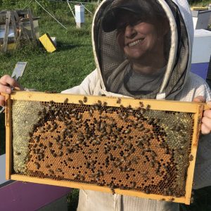 1st Year Hive Set Up With Nuc