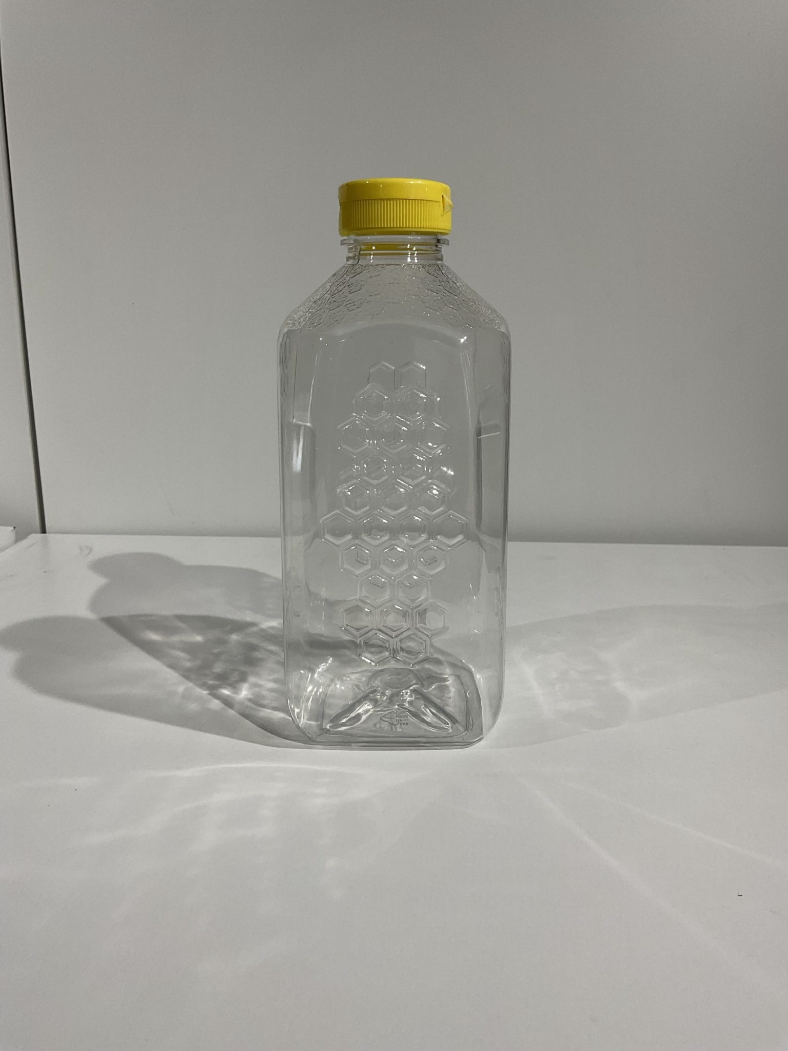 48 oz (3 lb) Embossed Plastic Squeeze Bottle with Lid