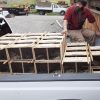 3 lb Package Bees with Mated Queen