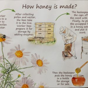 Honey Cycle Canvas Print
