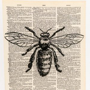 Bee On Print Canvas Print