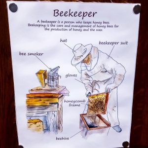 Beekeeper Breakdown Canvas Print