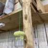 Hornet and Wasp Trap