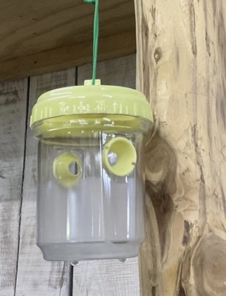 Hornet and Wasp Trap
