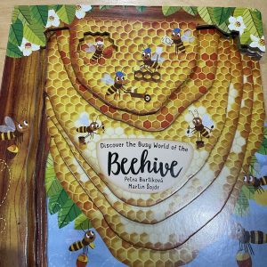 Discover the Busy World of the Beehive Kids Book