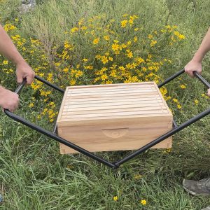 Hive carrier