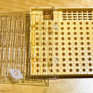 No Graft Queen Rearing Box