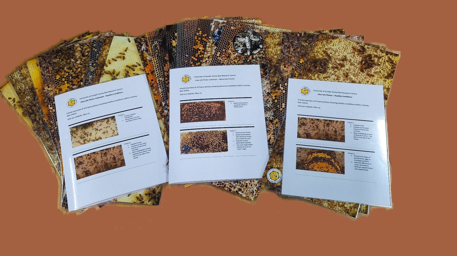 Educational Hive Photo Frame Insert University of Guelph HappBee