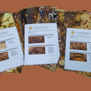Educational Hive Photo Frame Insert - University of Guelph