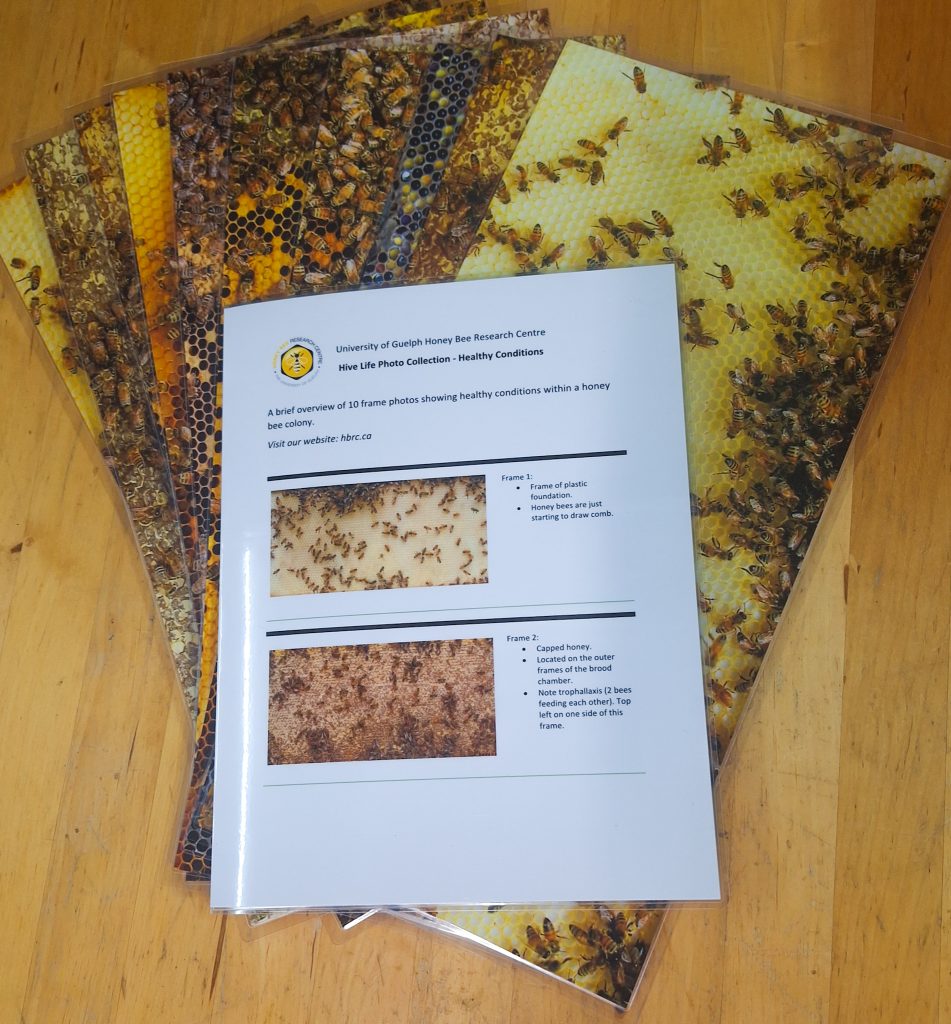 Educational Hive Photo Frame Insert University of Guelph HappBee