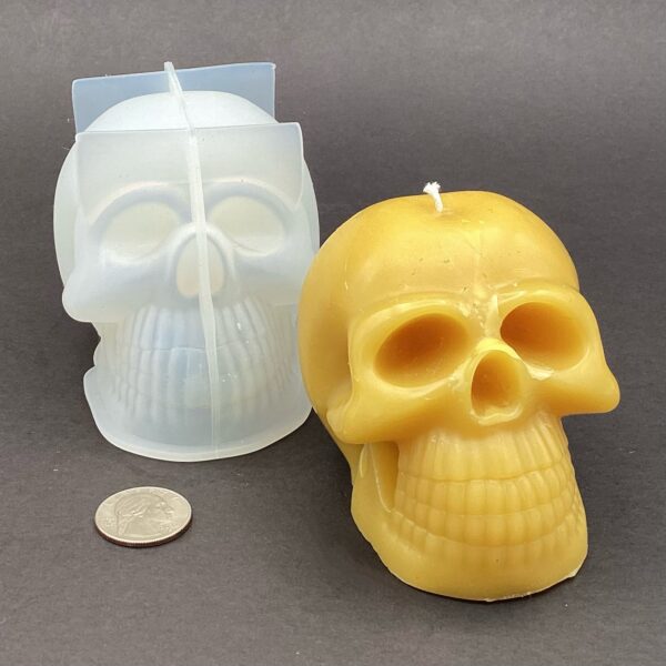 img_0766 Skull Wax Mold