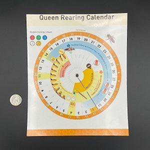 Queen Rearing Calendar Wheel