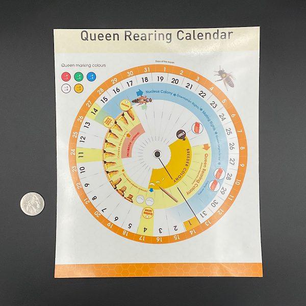 Queen Rearing Calendar Wheel