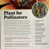 100 Plants to Feed The Bees