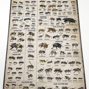 Types of Bees Metal Sign