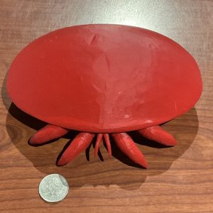 Human Scale Varroa Mite