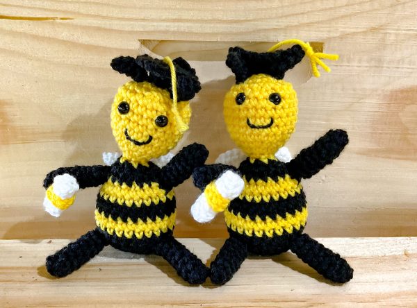 Graduate Bee