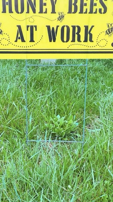 Corrugated Sign Stand