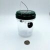 Wasp and Yellow Jacket Trap with Solar Light