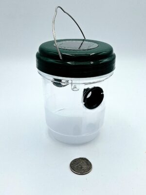 Wasp and Yellow Jacket Trap with Solar Light