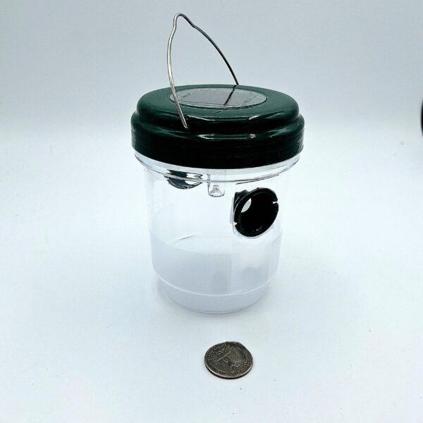Wasp and Yellow Jacket Trap with Solar Light