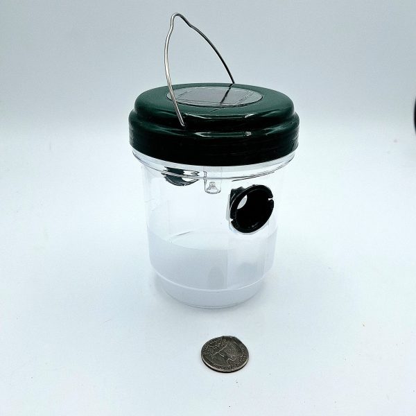 Wasp and Yellow Jacket Trap with Solar Light