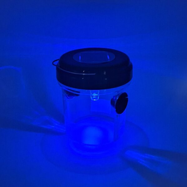 Wasp and Yellow Jacket Trap with Solar Light