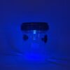 Wasp and Yellow Jacket Trap with Solar Light