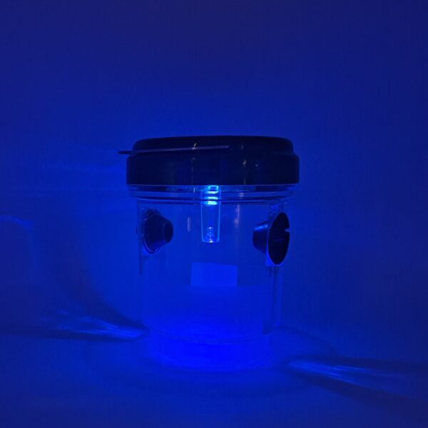 Wasp and Yellow Jacket Trap with Solar Light