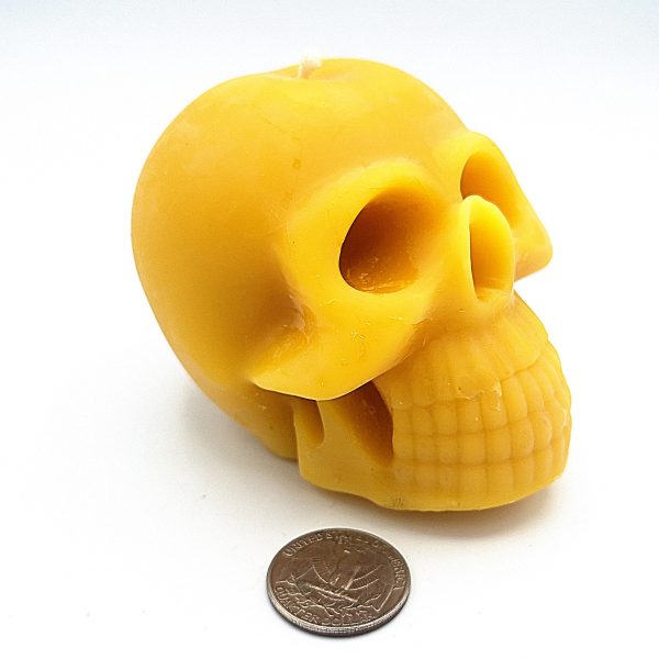 Skull Wax Mold