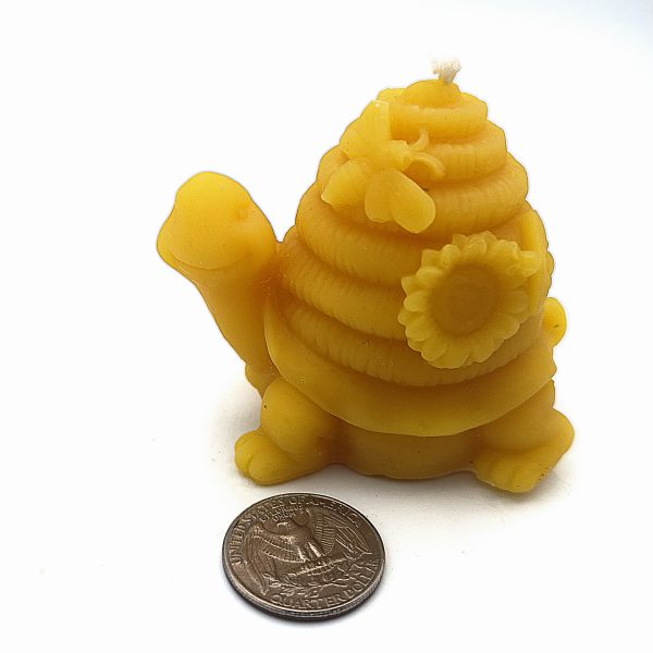 Skep Shelled Turtle Wax Mold