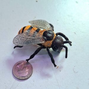 Bee Model