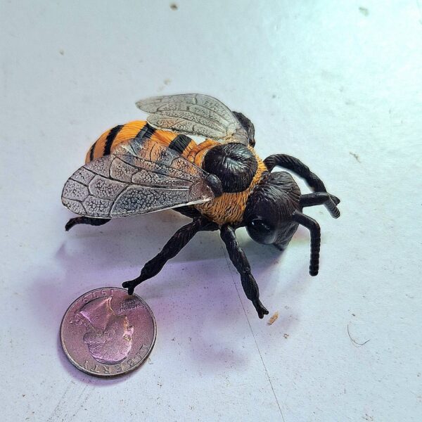 Bee Model