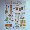 Honeybee’s Life Concepts Canvas Print