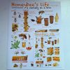 Honeybee’s Life Concepts Canvas Print