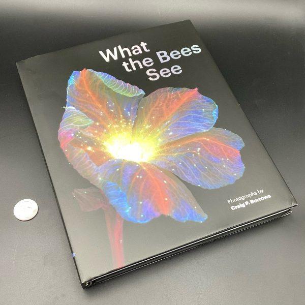 img_1202 What the Bees See