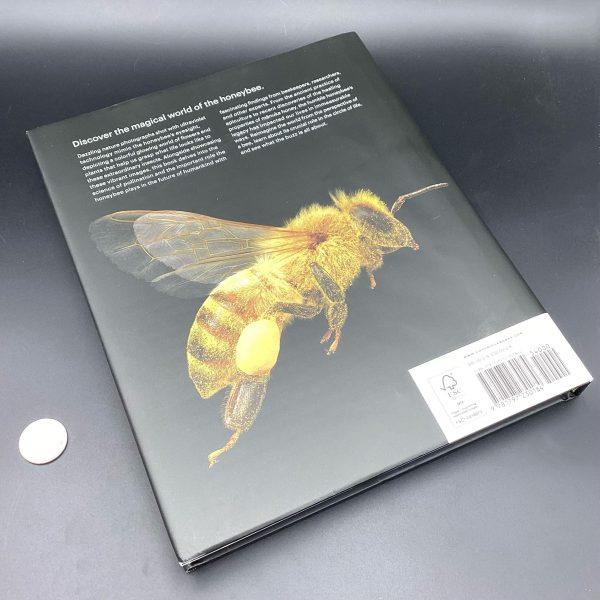 img_1203-2 What the Bees See