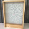 Amish Screened Bottom Board 10 Frame - CLEARANCE