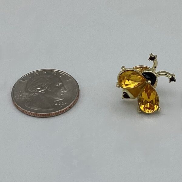 Jewel-Winged Bee Pin